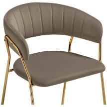Стул на металлокаркасе Kamelia 1 cappuccino / gold